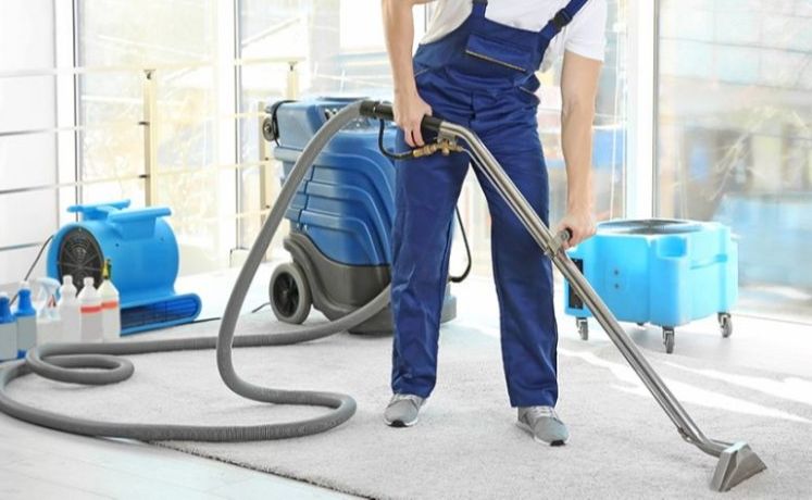 the best carpet cleaners